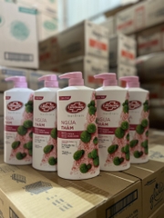 SỮA TẮM LIFEBUOY DẦU TRÀM TRÀ VÀ MUỐI HỒNG 800ML x 12 CHAI