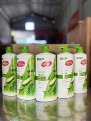 SỮA TẮM LIFEBUOY TRÀ XANH & KHỔ QUA 800G/12CHAI