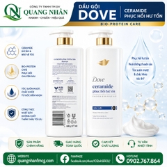 DẦU GỘI DOVE PHỤC HỒI HƯ TỔN 640ML x 8 CHAI