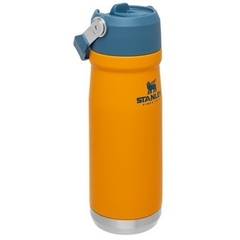 [CỔ LỖ SĨ] STANLEY ICEFLOW FLIP STRAW BOTTLE 22 OZ BÌNH GIỮ NHIỆT [Hàng chuẩn, nhậpUS]