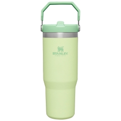 [CỔ LỖ SĨ] STANLEY THE ICEFLOW FLIP STRAW TUMBLER  30 OZ BÌNH GIỮ NHIỆT [Hàng chuẩn, nhậpUS]