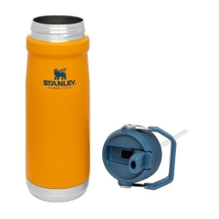 [CỔ LỖ SĨ] STANLEY ICEFLOW FLIP STRAW BOTTLE 22 OZ BÌNH GIỮ NHIỆT [Hàng chuẩn, nhậpUS]