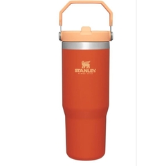 [CỔ LỖ SĨ] STANLEY THE ICEFLOW FLIP STRAW TUMBLER  30 OZ BÌNH GIỮ NHIỆT [Hàng chuẩn, nhậpUS]