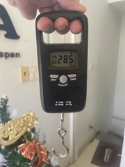 Cân móc treo mini cầm tay NiNDA SN50T
