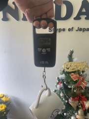 Cân móc treo mini cầm tay NiNDA SN50T