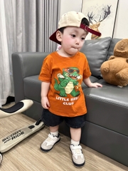 BT847-Combo 3 áo thun cotton cộc tay sắc màu cho bé 9-26kg