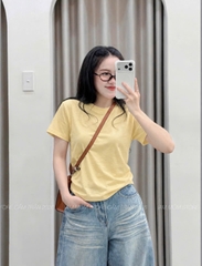 A792- Áo thun giấy vàng cộc tay thêu ngực