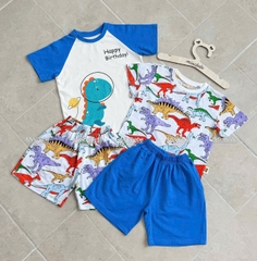 Bt578- Combo 2 bộ KL cotton màu sắc phối dáng cộc