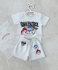 bT569- Bộ Chó cứu hộ màu ghi áo coton quần nỉ mì