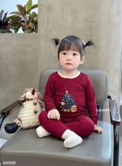 Bt770- Combo 2 bộ zip Noel xanh-đỏ dài tay hoạ tiết in