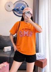 A503-Áo thun suông thêu màu xam nổi bật