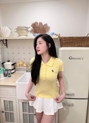 A653-Áo len polo cộc tay thêu ngựa 6 màu hàng nhà máy đủ tem
