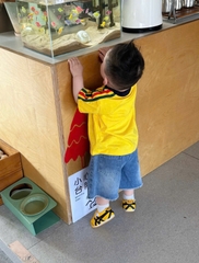 BT855-Bộ áo thun cộc vàng phối quần short jean cho bé 9-26kg