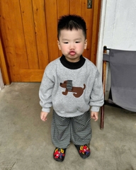 Bt751- bộ Cún tai nổi quần kẻ 3 màu chất nỉ haida