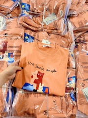 A313- Áo thun mảu cam đất cotton mát