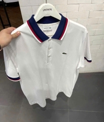 A586- Áo polo  nam màu trắng thêu ngực hàng nhàmáy đủ tem