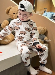 CB299-Combo 2 bộ thun díp dài tay thu đông bé trai khủng long size 9-25kg