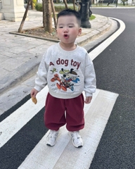 BT748-Bộ nỉ haida bé trai áo xám in phối quần bo ống