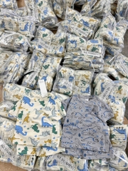 CB306-Combo 2 bộ cotton KHỦNG LONG MÀU in full cộc tay