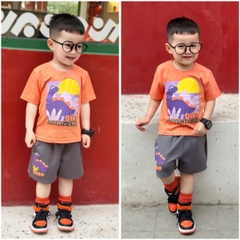 BT447- Bộ áo cotton KHỦNG LONG CAM mix quần cua màu ghi