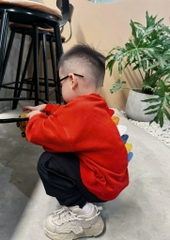 Bn133- (9-26kg) Bộ nỉ dài tay bé trai khủng long đỏ vây lưng VNXK