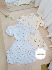 Đầm hoa cổ V xoè bèo 2 lớp