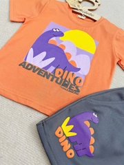 BT447- Bộ áo cotton KHỦNG LONG CAM mix quần cua màu ghi