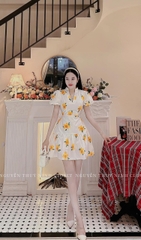 Đầm hoa cổ V xoè bèo 2 lớp