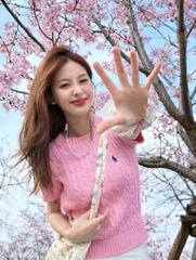 A520-Áo len dệt kim cộc tay màu hồng thêu ngựa mẫu mới