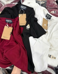 SET466-Set 3 áo thun cổ tròn thêu gấu RABBIT chất cotton