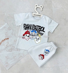 bT569- Bộ Chó cứu hộ màu ghi áo coton quần nỉ mì