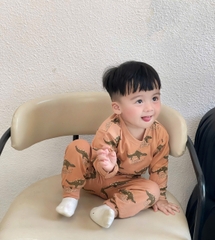 Cb340- Combo 3 bộ thun dài tay khủng long màu nâu bé trai thu đông