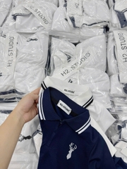 Bt675- Combo 2 áo polo thêu tag chất cotton zip cổ bo