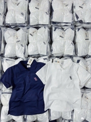 A255-Combo 2 áo polo nữ thêu gấu WH than trắng