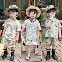 BT902-Combo 3 bộ thun cộc tay khủng long cho bé trai 9-26kg