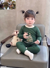 Bt770- Combo 2 bộ zip Noel xanh-đỏ dài tay hoạ tiết in