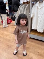 CB293-Combo 2 bộ chữ Ele