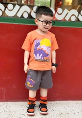 BT447- Bộ áo cotton KHỦNG LONG CAM mix quần cua màu ghi