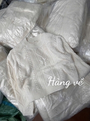 A452- Áo len thừng quảng châu màu be freesizs dưới 61kg