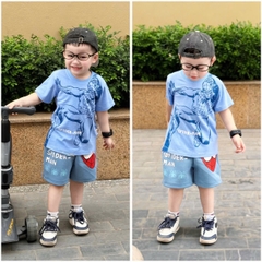 BT456- Bộ áo cotton nhện xanh nhạt mix quần nỉ mì