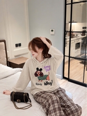 A763-Áo thun cotton có mũ dài tay