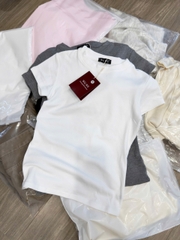 A495-Áo thun cộc tay WE 3 màu chất cotton mát