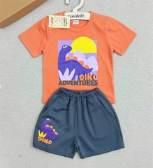 BT447- Bộ áo cotton KHỦNG LONG CAM mix quần cua màu ghi