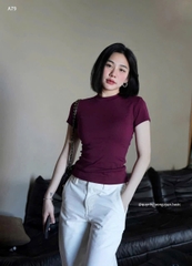 A192-Áo thun đỏ rượu cộc tay chất zip