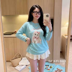 a665-Áo thun giấy dài tay dáng oversize Quảng châu