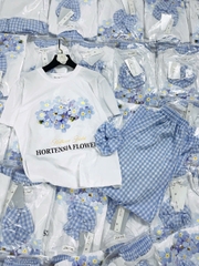 Set678- Set Áo phông mix chan vay xoè kẻ xanh kèm khăn