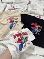 CB243- Combo 3 áo cotton NHỆN trẻ em in lưng