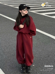 [Max 39kg] Bt742- Bộ nỉ hai da mau đỏ thêu ngựa dáng dài