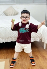 BN102-Bộ cotton CÁ SẤU màu mận mix quần nỉ cua bé trai