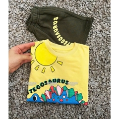 BT544- Bộ áo cotton Stego mix quần nỉ màu rêu